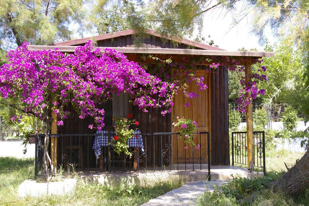 Arriba Pension & Restaurant Gumusluk Luaran gambar